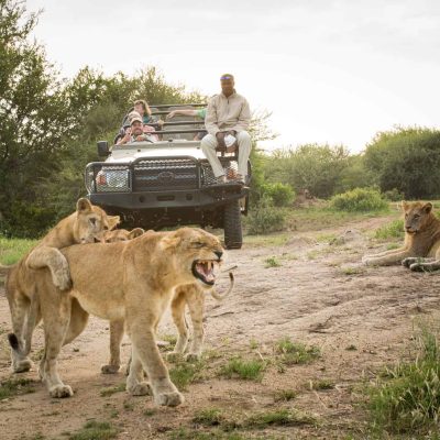 Kapama Private Game Reserve