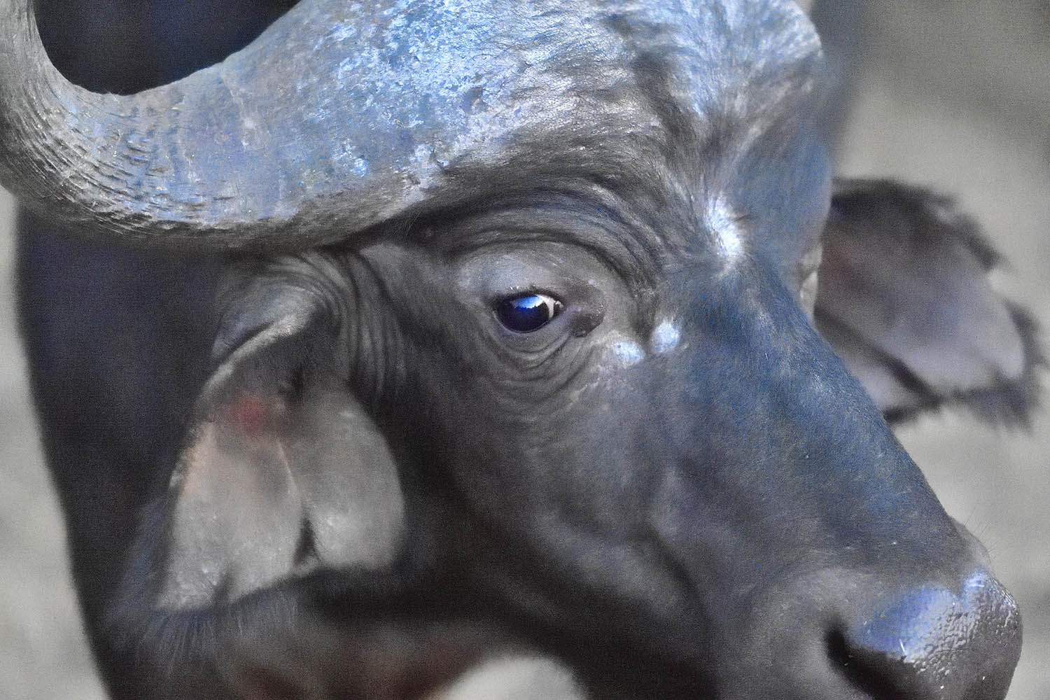 Southafricatravel.it