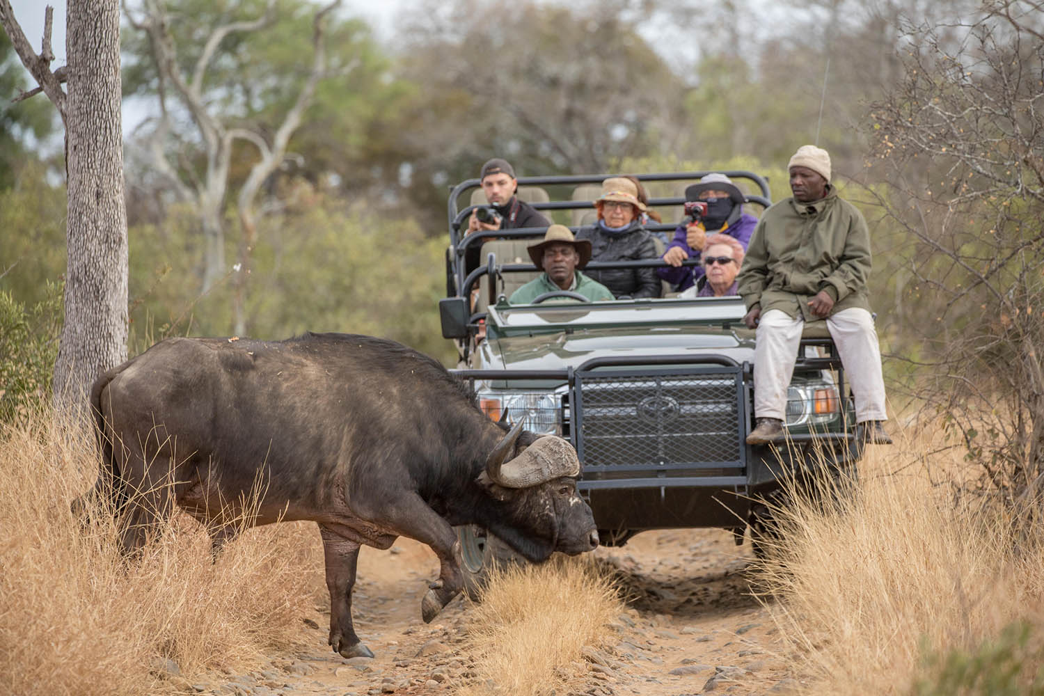 Southafricatravel.it