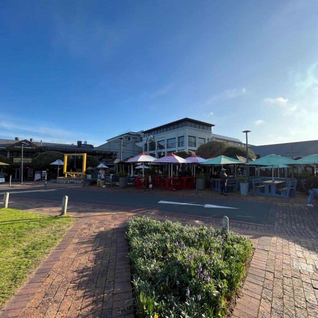 cosa fare a hermanus