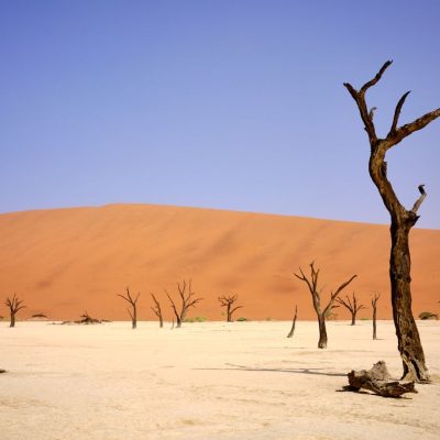 Viaggi in Namibia