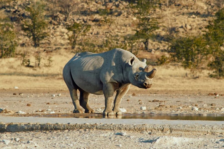 Tour di gruppo di 12 giorni in Namibia