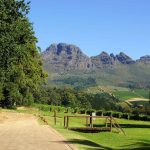 stellenbosch 4