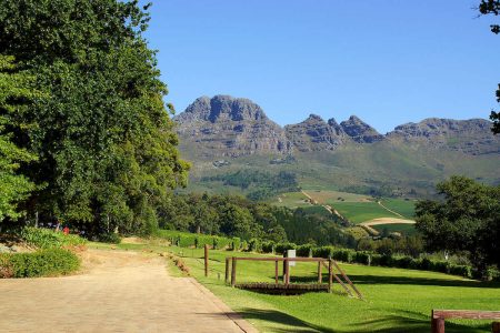 La Valle dei Vini in Sud Africa: Winelover non potete perdervela.