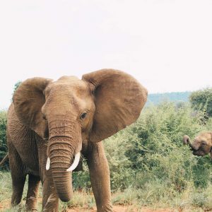 sudafrica 1600 1067 1