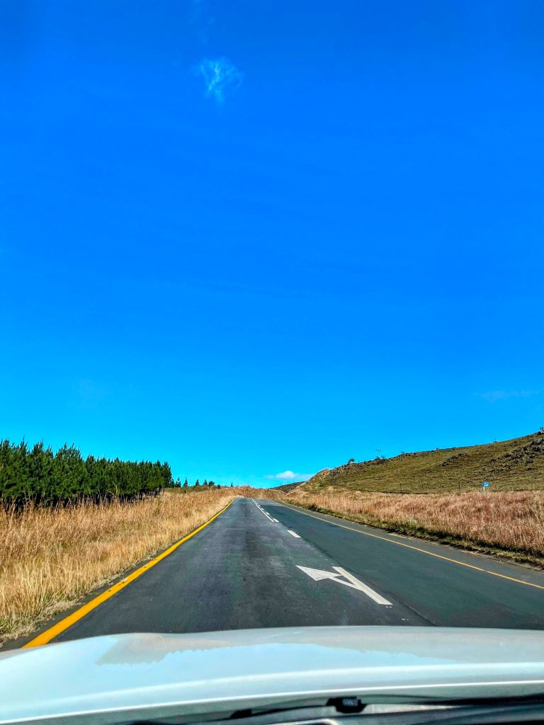 sudafrica patente internazionale