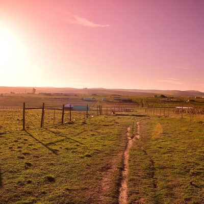 viaggio sudafrica con guida italiana