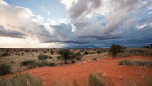 tour namibia self drive