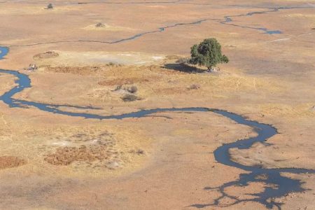 Safari in Botswana: un’esperienza indimenticabile