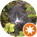 Robbie D profile picture