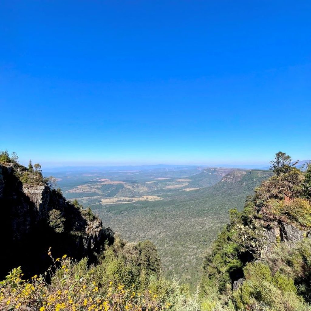 safari sud africa quando andare