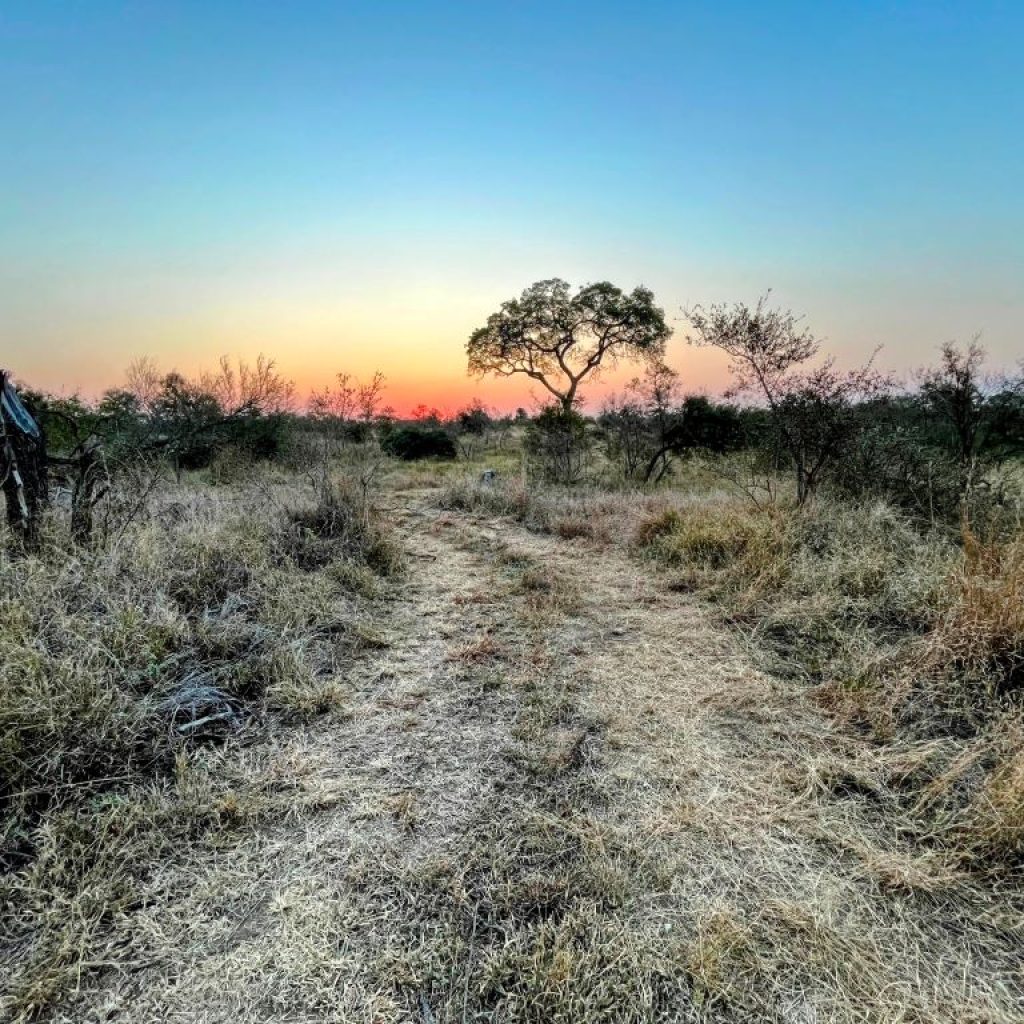 periodo migliore sudafrica