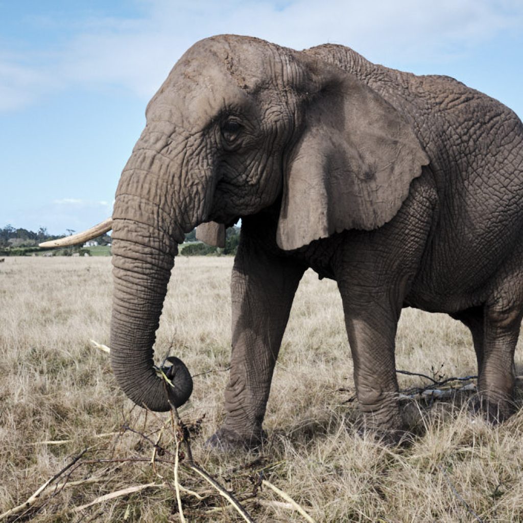 viaggio sudafrica periodo migliore