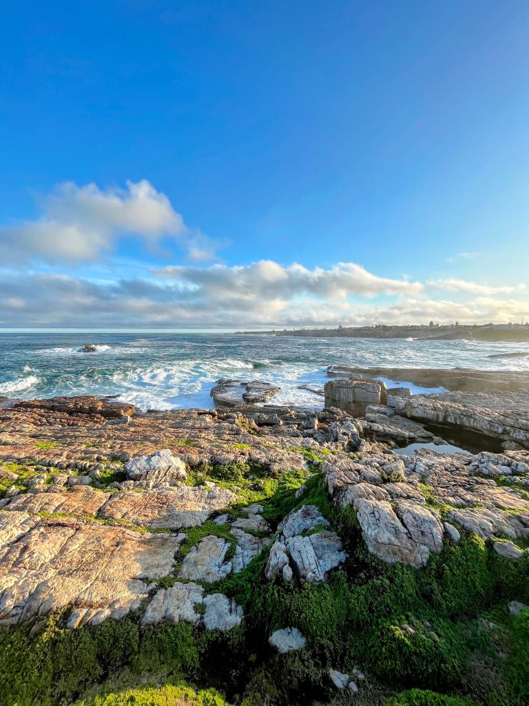 quando andare in sudafrica