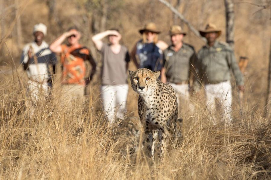 viaggio di gruppo in sudafrica con guida italiana