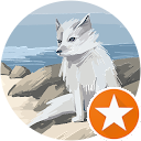 Rose Khada profile picture