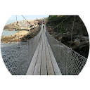 Tamryn L profile picture