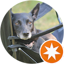 Meaghan Edwards profile picture