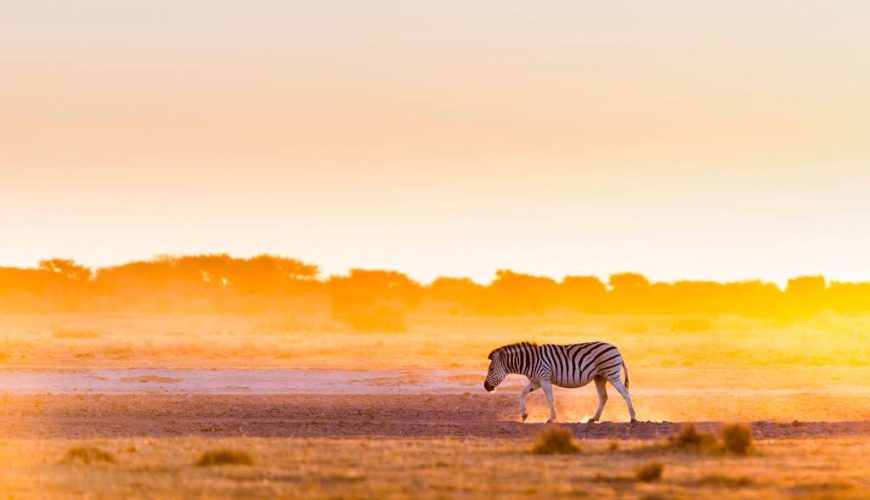 quando andare in botswana