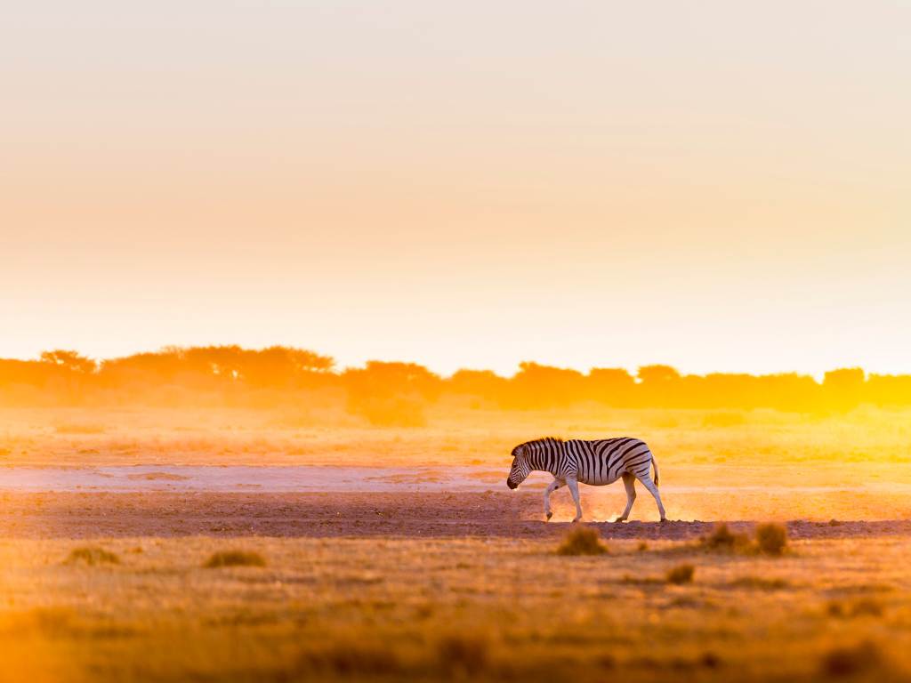quando andare in botswana