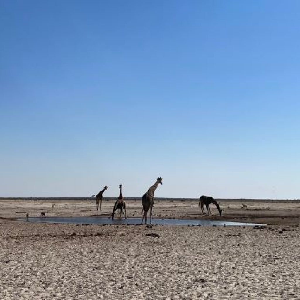 namibia periodo migliore