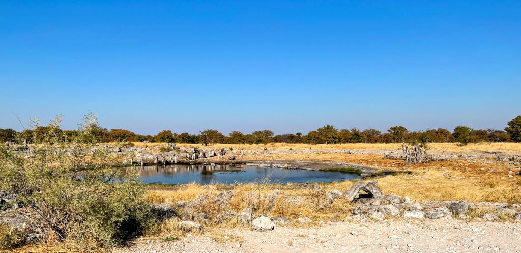 quando andare in namibia