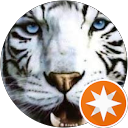 Marco Andreaus profile picture