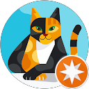 Serena Carli profile picture