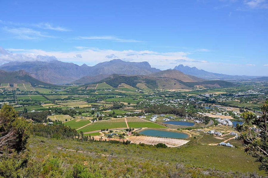 SOUTH AFRICAN SHORES & BUSH